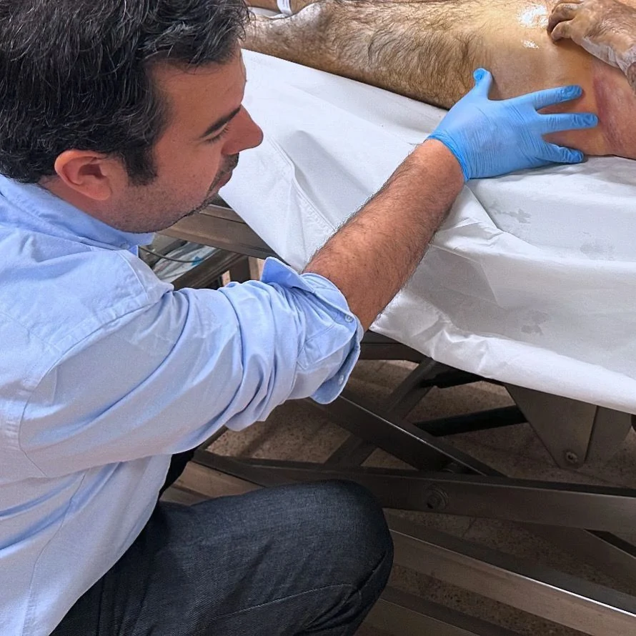Carlos Cuadrado Gómez-Serranillos realizando un examen externo en un estudio post mortem